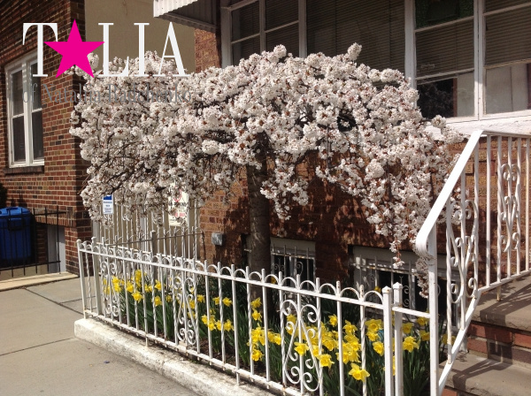 У большинства людей День матери ассоциируется с весной. Он совпадает с цветением деревьев и первых весенних цветов.